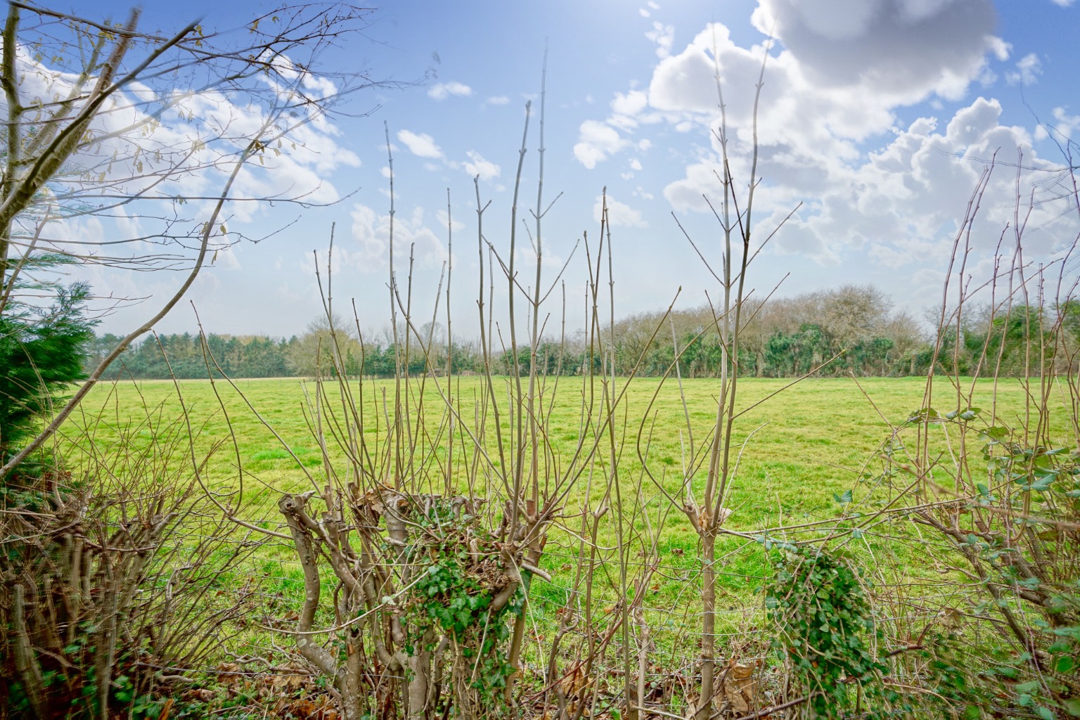 4 bed detached house for sale in High Street, Huntingdon  - Property Image 12