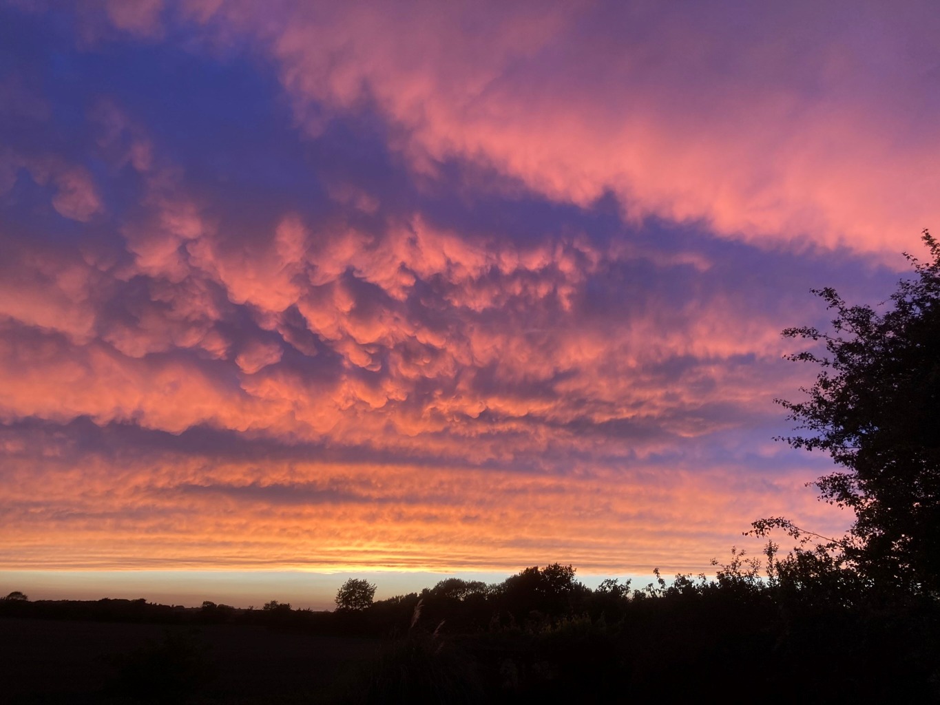 4 bed detached house for sale in Chapel Close, Huntingdon  - Property Image 22
