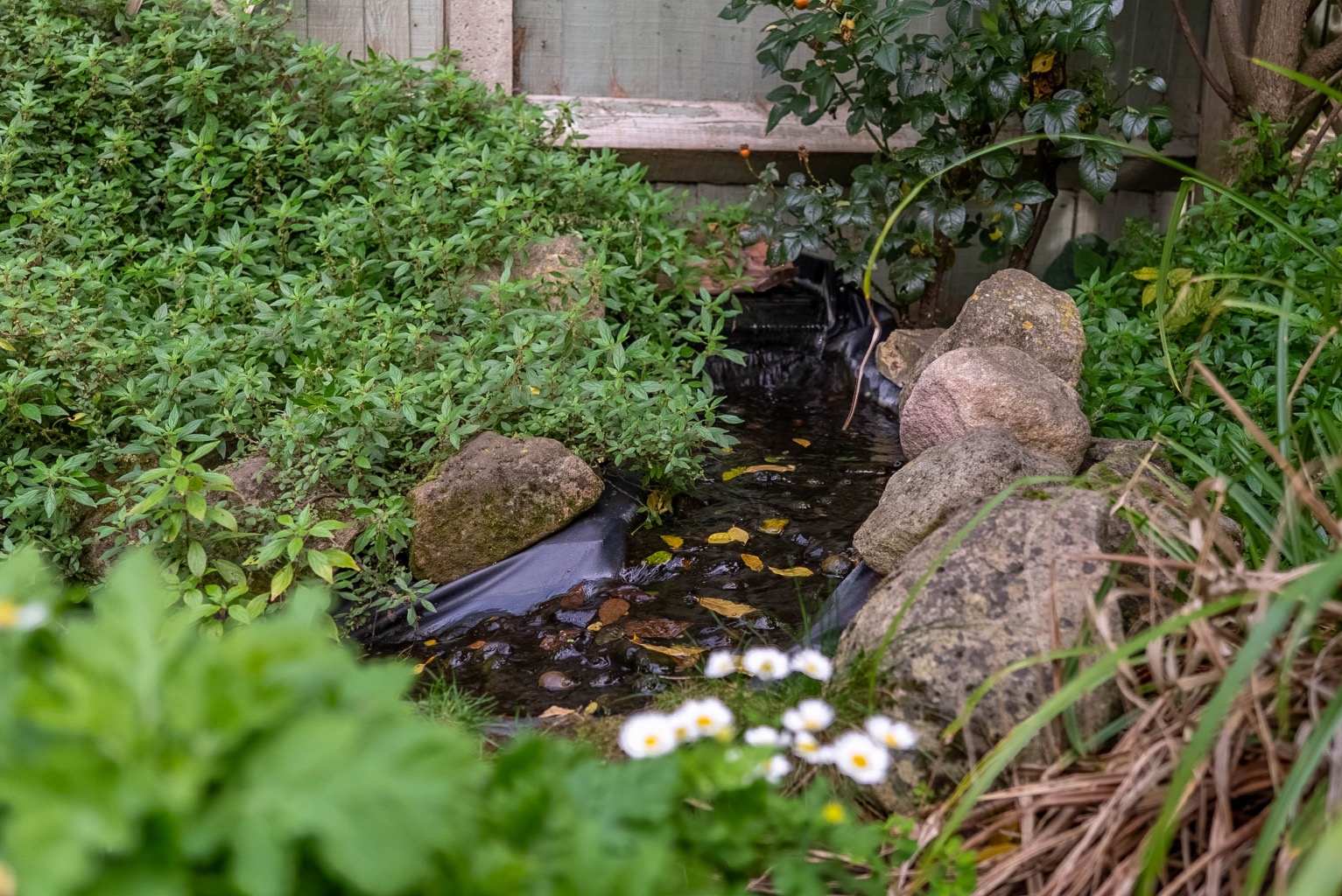 2 bed end of terrace house for sale in St Ann's Lane, Huntingdon 24