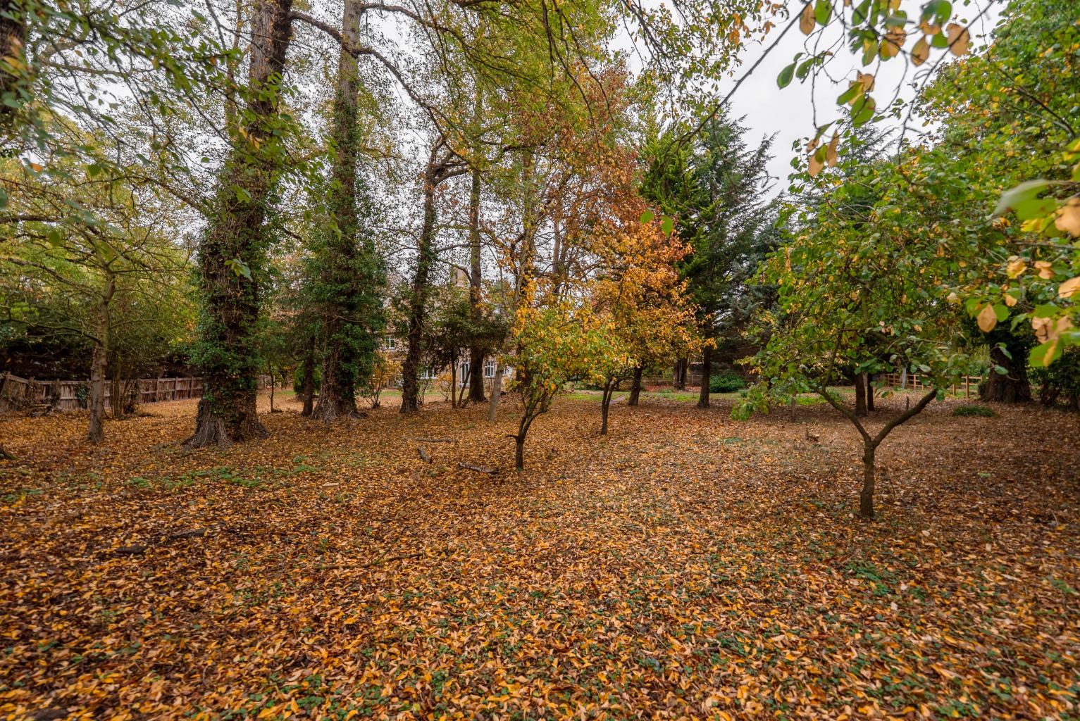 3 bed detached house for sale in Church Road, Huntingdon 18