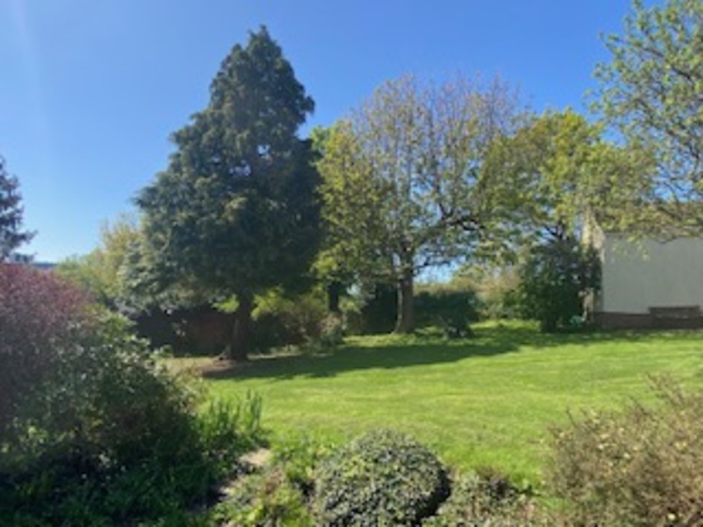 4 bed detached bungalow to rent in Moorlake, CREDITON  - Property Image 21