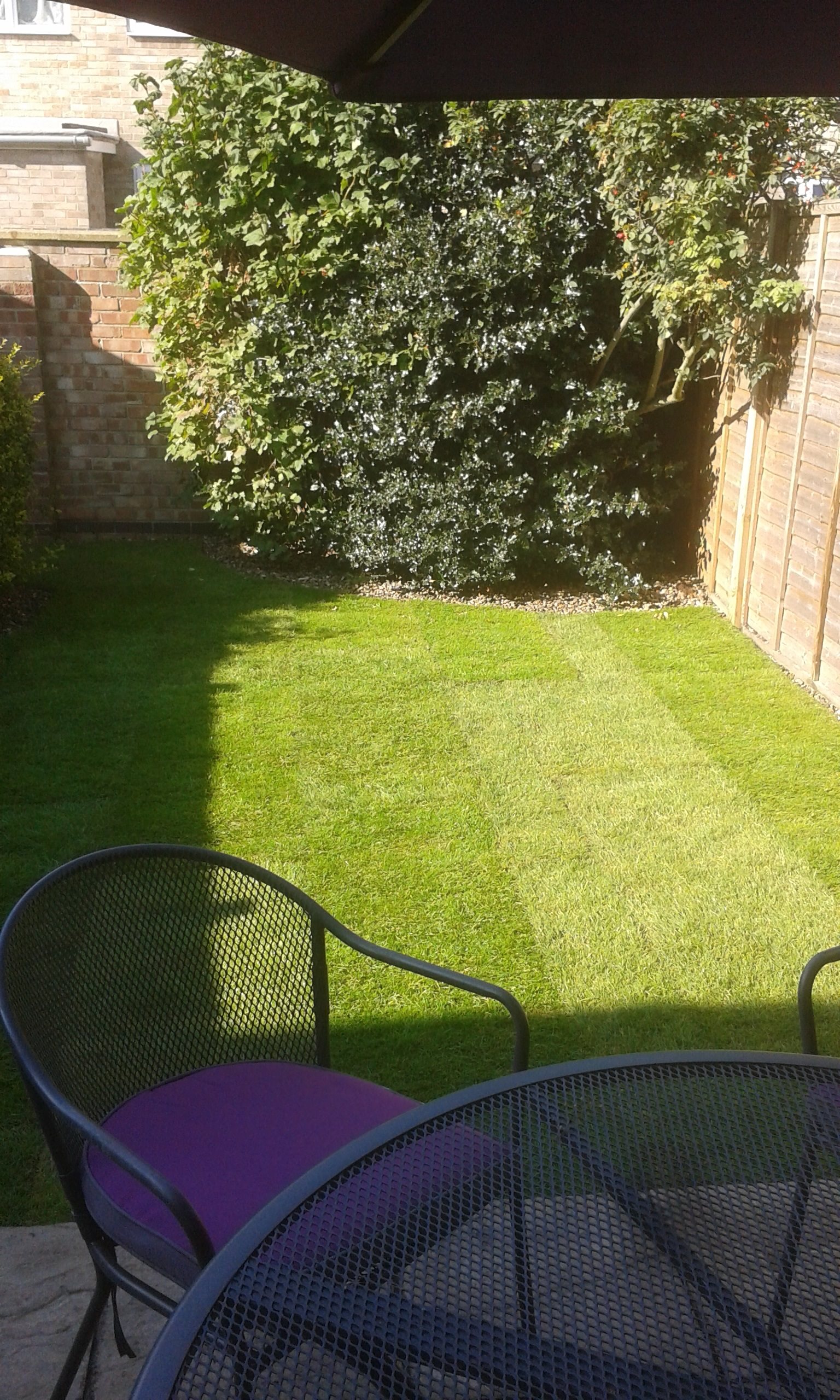 4 bed house to rent in Bennett Court, Colchester, CO4  - Property Image 8