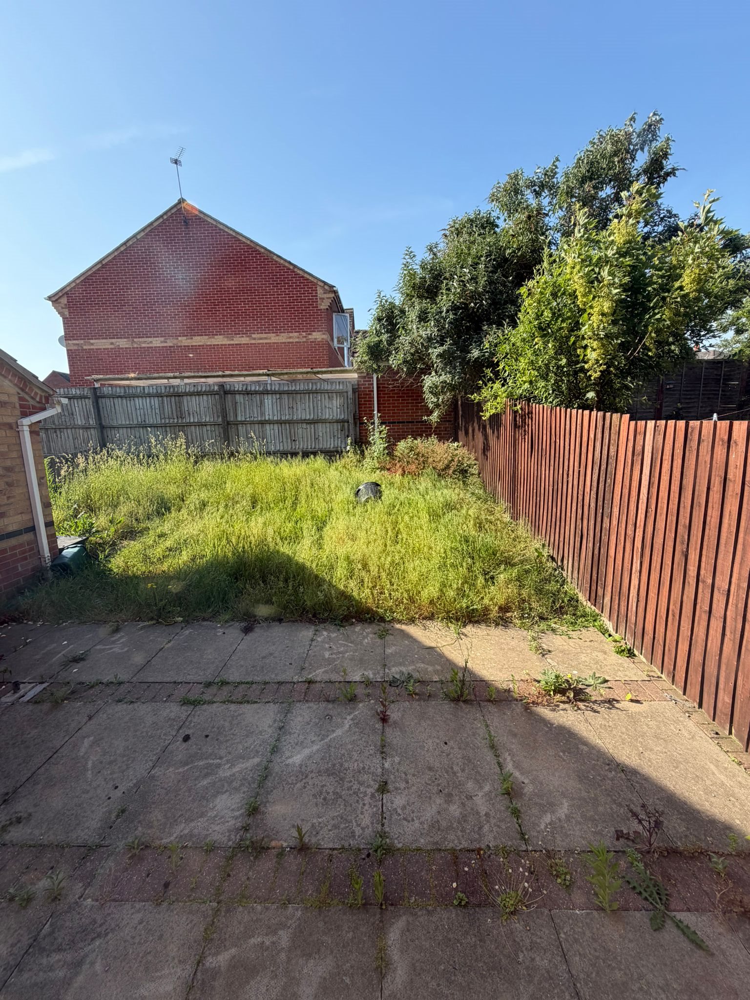 3 bed house to rent in Haddon Park, , CO1  - Property Image 12