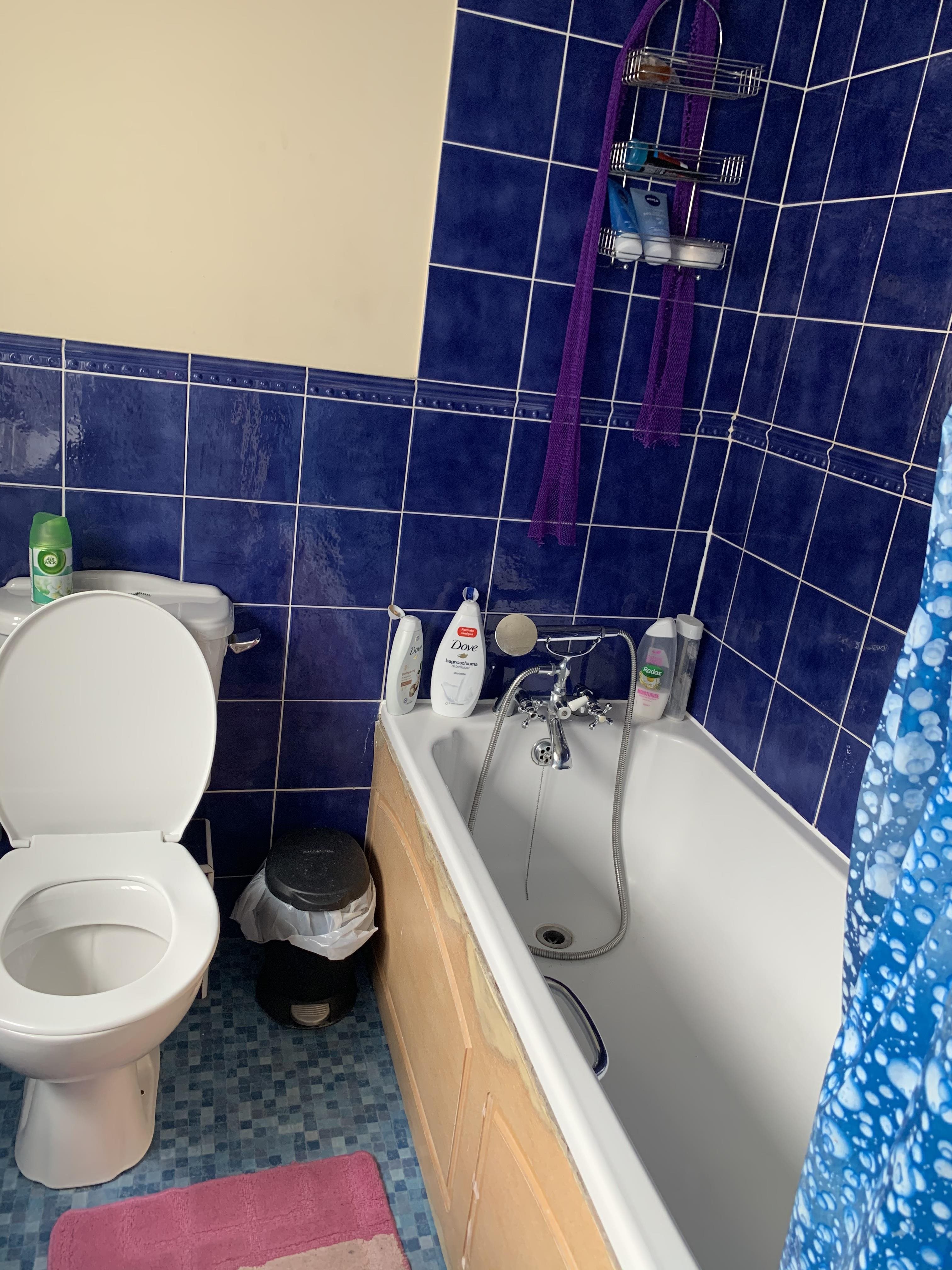 4 bed house to rent in Mascot Square, Colchester , CO4 12