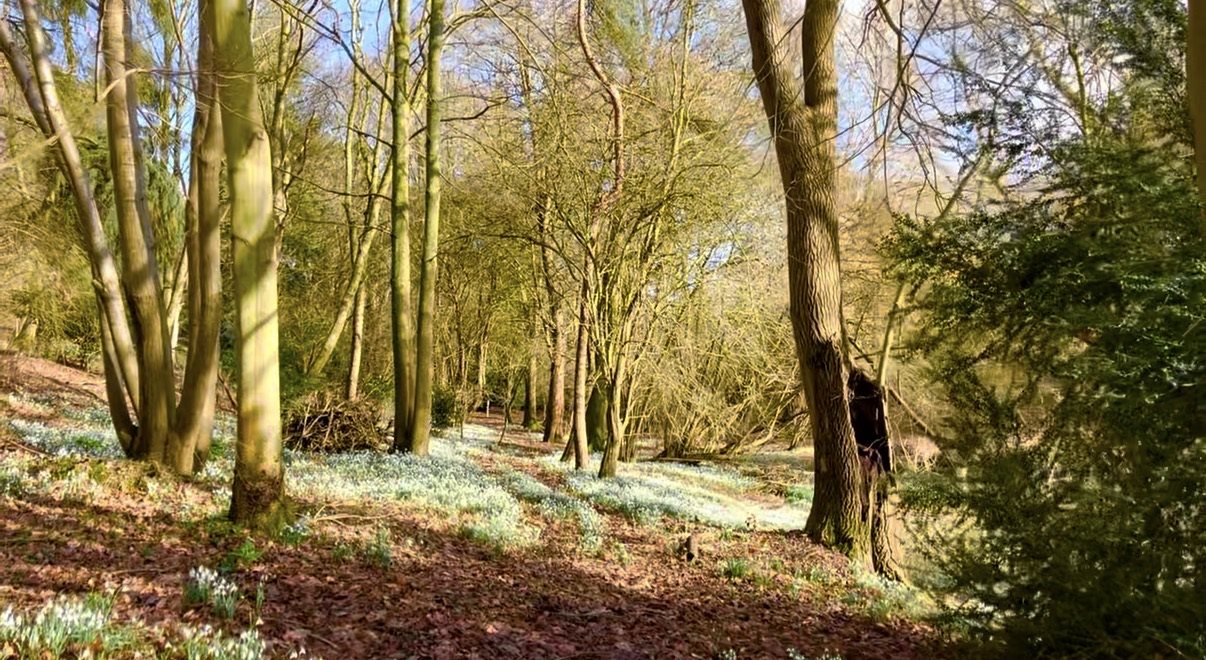 1 bed apartment to rent in Hadleigh Road, Higham, CO7 13