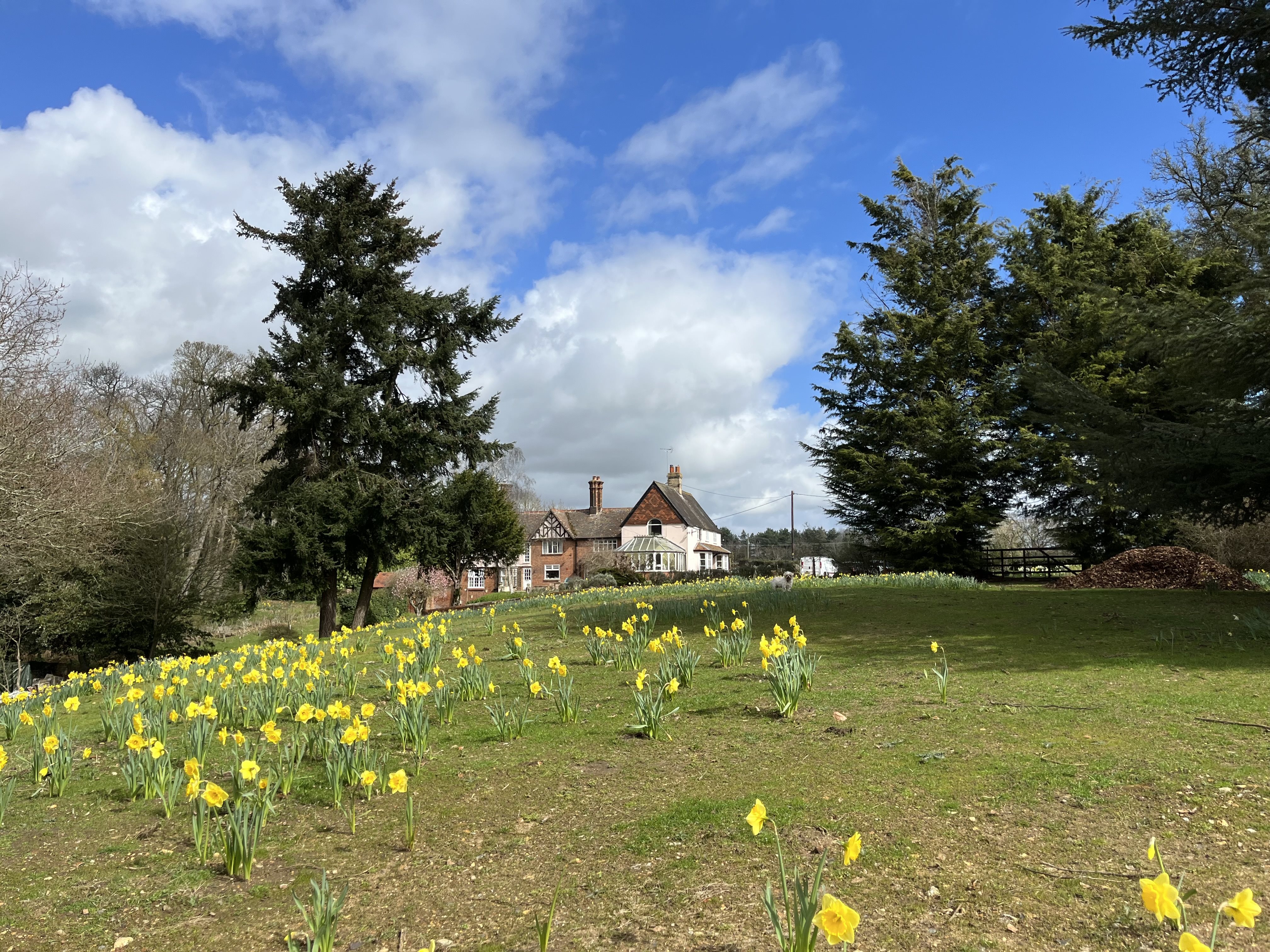 1 bed apartment to rent in Hadleigh Road, Higham, CO7  - Property Image 15