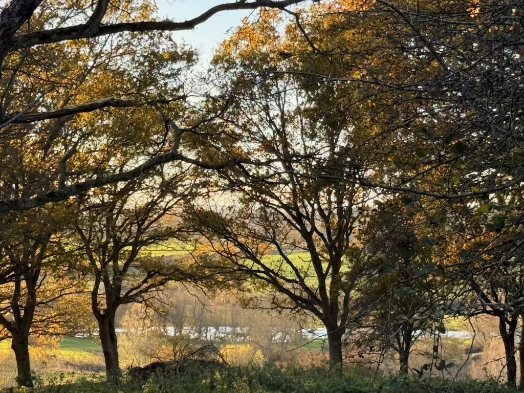 1 bed apartment to rent in Hadleigh Road, Higham, CO7  - Property Image 16