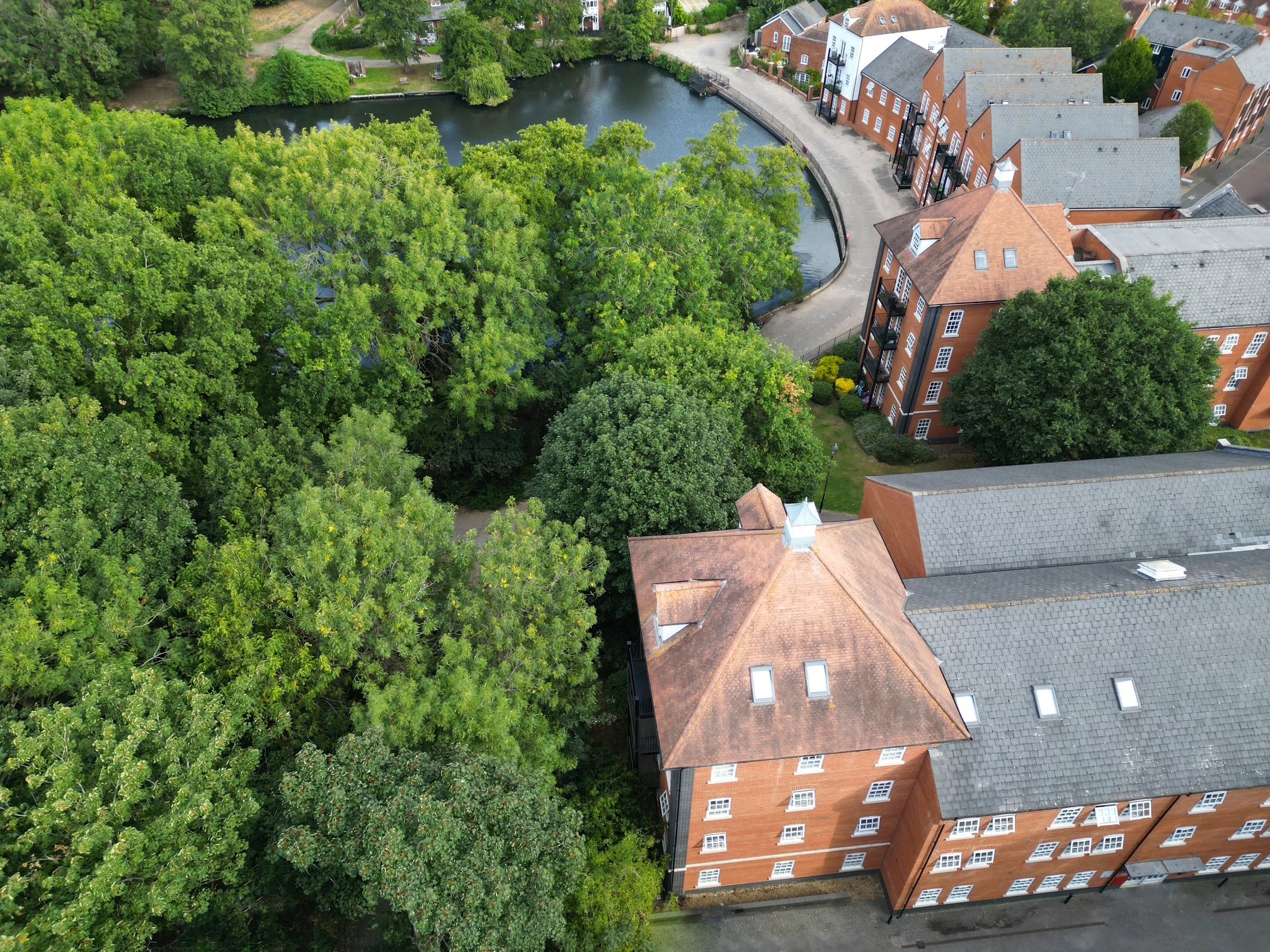 5 bed duplex to rent in Albany Gardens, , CO2  - Property Image 18