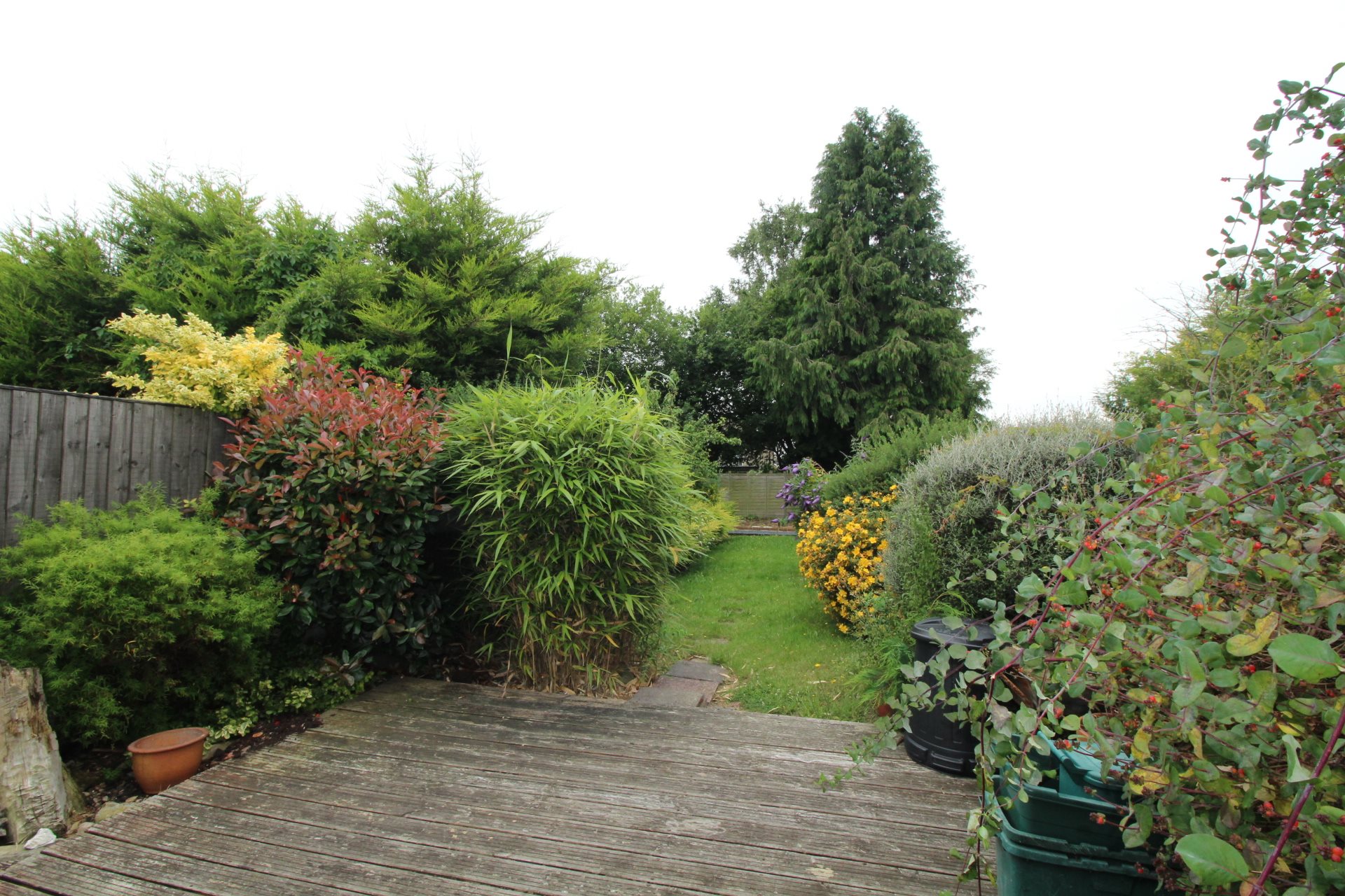 1 bed house / flat share to rent in Goring Road, Colchester, CO4  - Property Image 7
